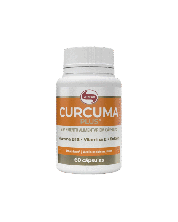 CÚRCUMA VITAFOR CURCUMIN (60caps)